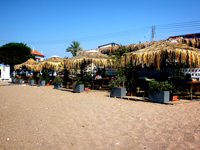 Porto Latchi Restaurant Photo