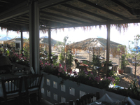 Porto Latchi Restaurant Photo